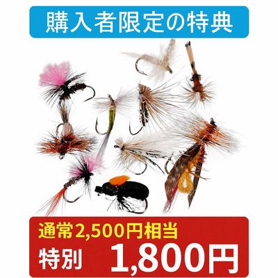 【購入者限定】おすすめドライフライ10本セット｜完成フライ 厳選パターン 初心者にも安心|購入者限定の特典商品|フライフィッシング入門者セット