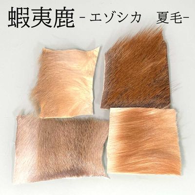 エゾシカ 夏毛 マテリアル 8×8cm フライ 蝦夷鹿 北海道産|フライタイイング