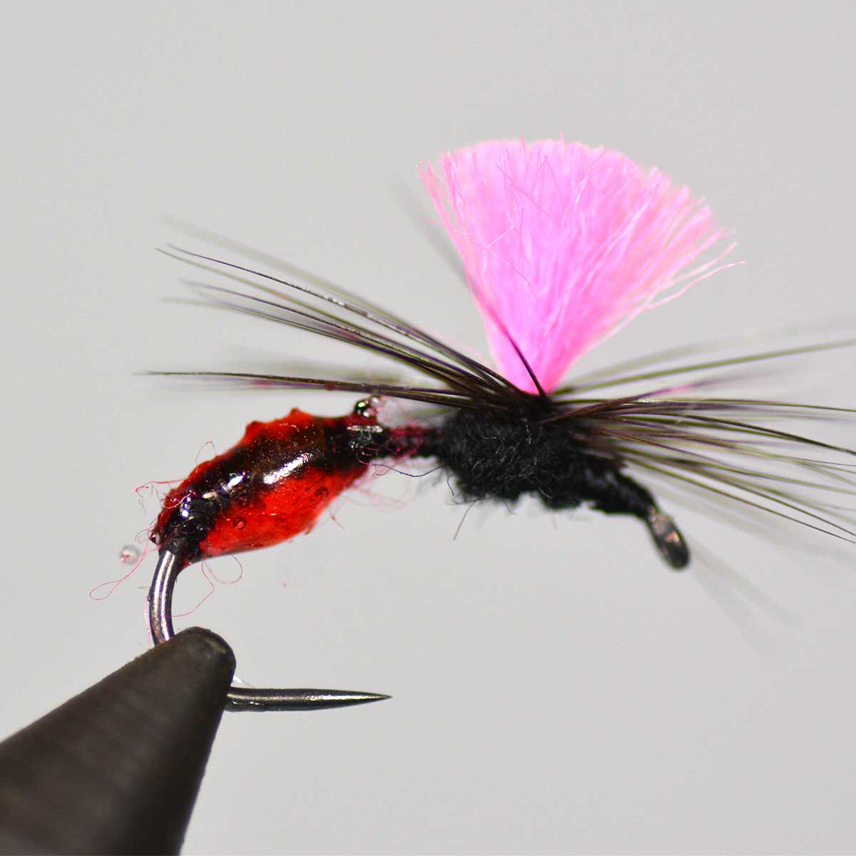 完成品ニンフ、ウェット、ストリーマー等セット フライ リアルシュリンプ #6 2個セット (ゆうパケットOK) : にし