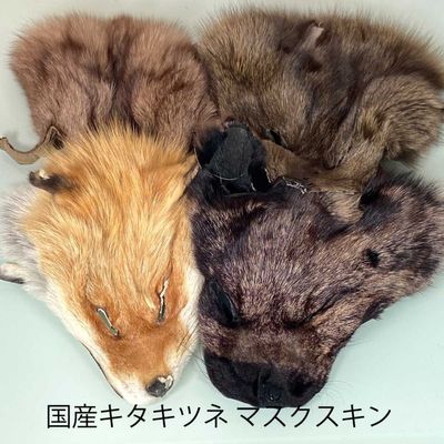 キタキツネ マスク スキン ヘッド フライマテリアル 北海道産