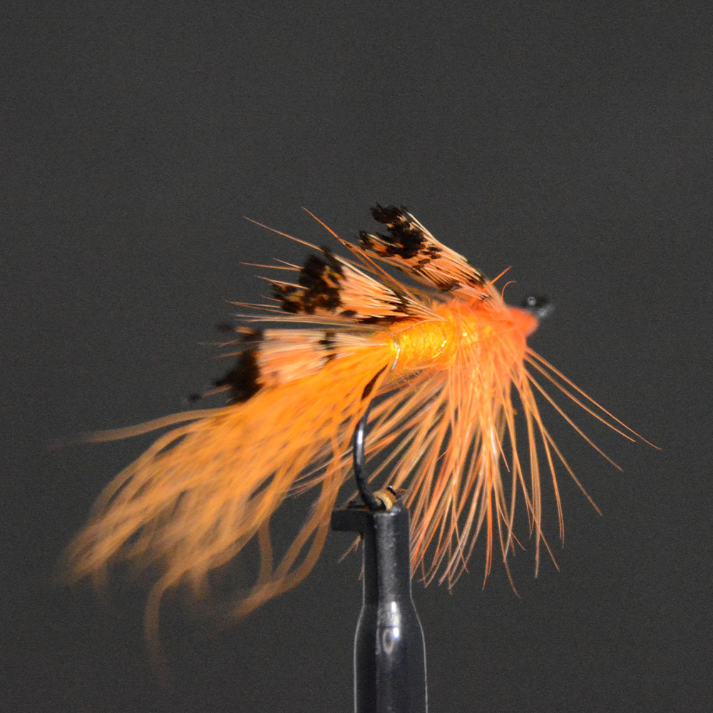 サーモンフライ ジェネラルプラクティショナー（#4～#8） 大型フライ