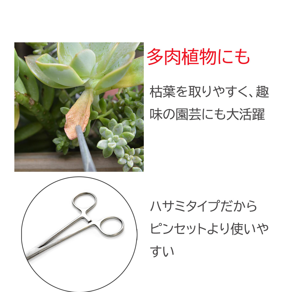 フォーセップ カーブ ステンレス プライヤー イカ 墨 ルアー