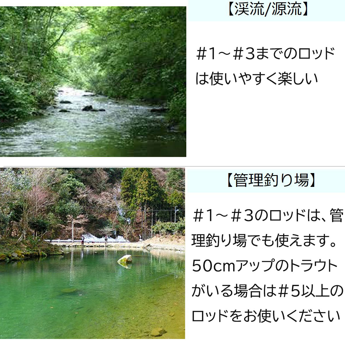 フライフィッシング 入門セット #3 渓流 管理釣り場 フライロッド