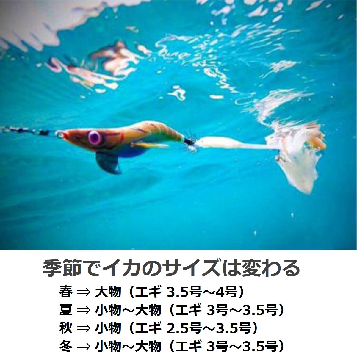 エギング 10本 エギケース イカ釣り エギ 2.5/3.0/3.5号 釣り