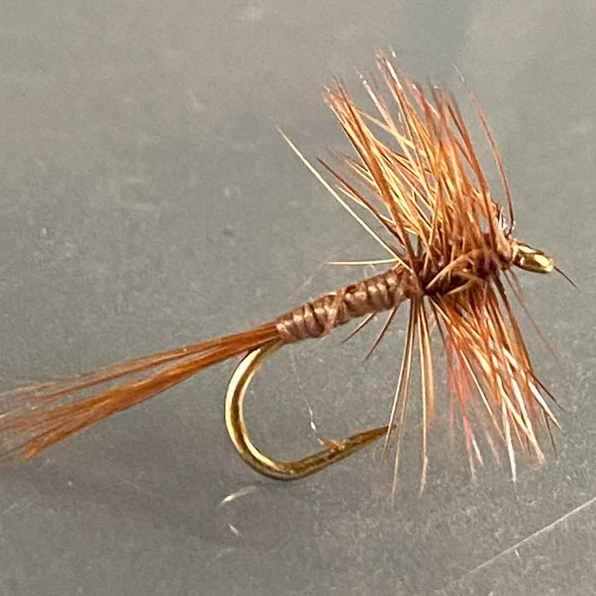 美品　剥製ブラウントラウト　魚の壁掛け　フライフィッシング　高級　インテリアに 美品 剥製ブラウントラウト 魚の壁掛け フライフィッシング 高級