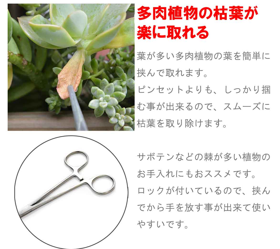 フォーセップ ストレート ステンレス プライヤー イカ 墨 ルアー