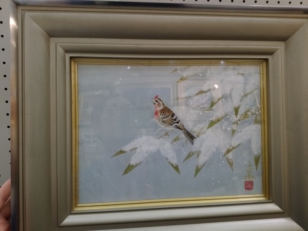 ����ɼ��������