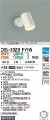 大光電機 直付用スポットライト 屋内用 色温度切替機能付 DSL5528FWG 工事必要