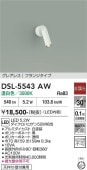 ����ŵ� ľ���ѥ��ݥåȥ饤�� ������ DSL5543AW ����ɬ��