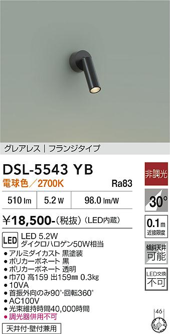 ����ŵ� ľ���ѥ��ݥåȥ饤�� ������ DSL5543YB ����ɬ��