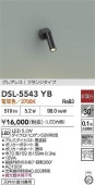 ����ŵ� ľ���ѥ��ݥåȥ饤�� ������ DSL5543YB ����ɬ��