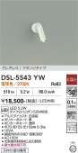 ����ŵ� ľ���ѥ��ݥåȥ饤�� ������ DSL5543YW ����ɬ��