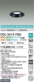 大光電機 ダウンライト DDL5615FBG 3色温度切替 工事必要
