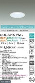大光電機 ダウンライト DDL5615FWG 3色温度切替 工事必要