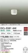����ŵ� �ʹ����󥵡��ե�����󥰥����� DCL5581AW ����ɬ��
