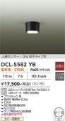 ����ŵ� �ʹ����󥵡��ե�����󥰥����� DCL5582YB ����ɬ��