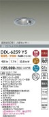 ����ŵ� ���⎥�������ѿʹ����󥵡��ե�����饤�� DDL6259YS ��100 �ŵ忧 ��Ǯ��60W���� ����ɬ��