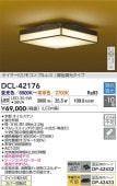 ŵ  DCL42176 ĴĴ ~10 ⥳