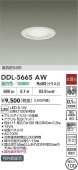大光電機 浅型導光板ダウンライト DDL5665AW 温白色 Φ100 白熱灯100W相当 工事必要