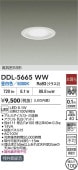 大光電機 浅型導光板ダウンライト DDL5665WW 昼白色 Φ100 白熱灯100W相当 工事必要