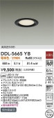 大光電機 浅型導光板ダウンライト DDL5665YB 電球色 Φ100 白熱灯100W相当 工事必要