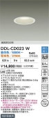 大光電機 ダウンライト DDLCD023W 調色調光 Φ100 白熱灯100W相当 工事必要