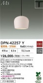 ����ŵ� �����ȥ졼���ѥڥ����� DPN42257Y �ŵ忧 ��Ǯ��100W����