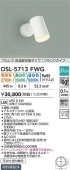 大光電機 スポットライト DSL5713FWG 3色温度切替調光 白熱灯100W相当 屋内用 工事必要