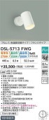 ����ŵ� ���ݥåȥ饤�� DSL5713FWG ������������Ĵ�� ��Ǯ��100W���� ������ ����ɬ��