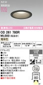 オーデリック 軒下用ベースダウン OD261780R Φ100 白熱灯100W相当 電球色 高演色 工事必要