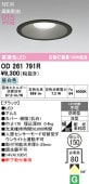 オーデリック 軒下用ベースダウン OD261791R Φ150 白熱灯100W相当 昼白色 高演色 工事必要