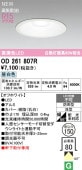 オーデリック 軒下用ベースダウン OD261807R Φ150 白熱灯60W相当 昼白色 高演色 工事必要