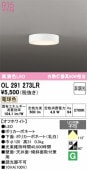 �����ǥ�å� ����������󥰥饤�� OL291273LR �ŵ忧 ��鿧 ��Ǯ��60W���� ����ɬ��