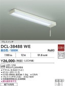 ����ŵ� ή������ DCL38488WE FL30W���� ����