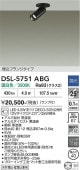 ����ŵ� ���ݥåȥ饤�� DSL5751ABG 12V���ގ�����35W���� ���� Ĵ��