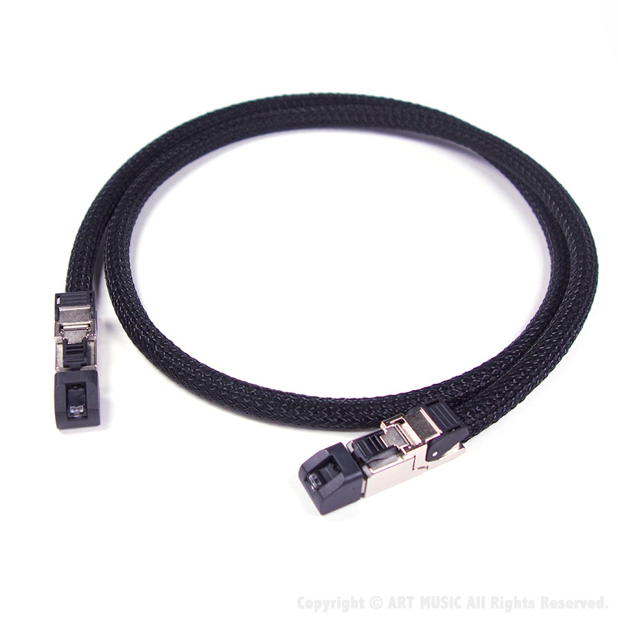 VIABLUE EP-7 LAN/ETHERNET�����֥� w/Telegartner MFP8 (ǲ����, 10GBASE-T�б�)��ART Custom Cable��