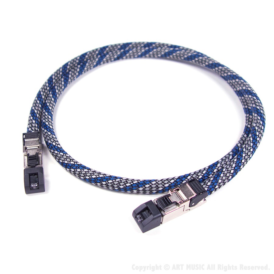 VIABLUE EP-7 LAN/ETHERNET�����֥� w/Telegartner MFP8 (ǲ����, 10GBASE-T�б�)��ART Custom Cable��