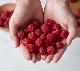 ˥å饺٥꡼ͥ(Raspberry Necter)