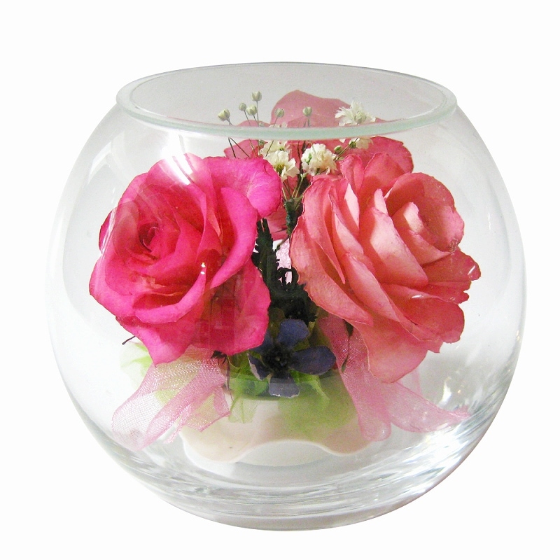 �ܥȥ�ե� �ܡ��� 100������ �������ԥ�