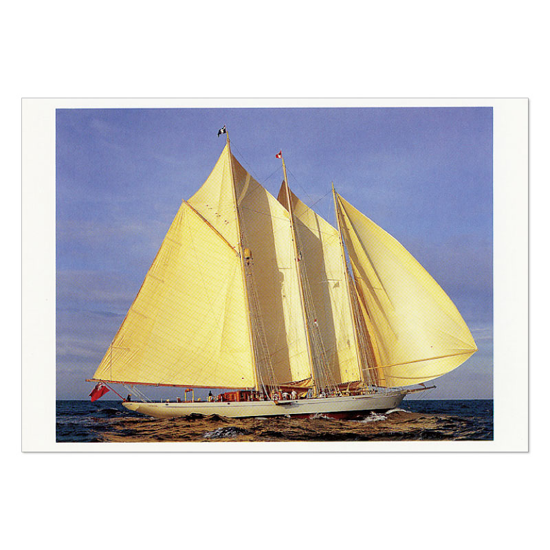 �ӡ�����ե��ߥ꡼�ݥ��ȥ�����