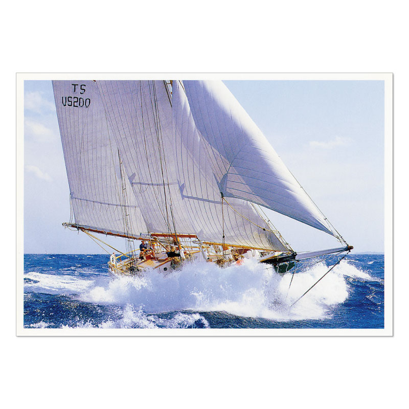 �ӡ�����ե��ߥ꡼�ݥ��ȥ�����