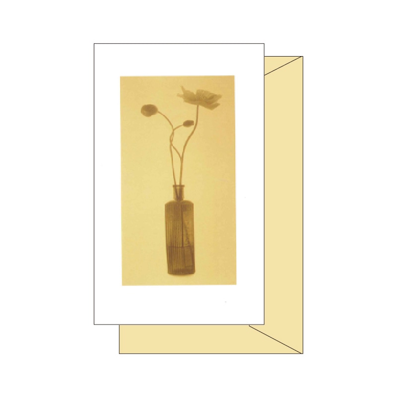 ޥݥԡ ꡼ƥ󥰥 GC-528