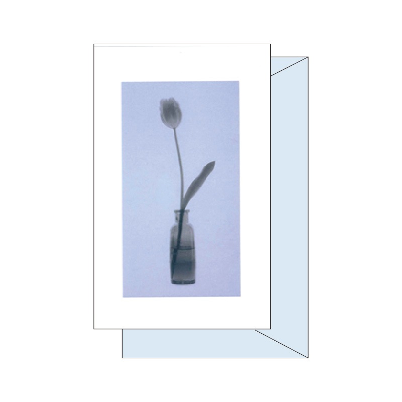 ޥ塼å ꡼ƥ󥰥 GC-529