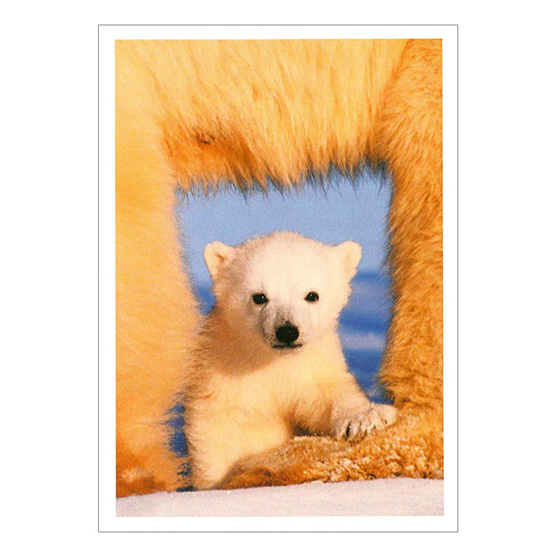 ���˥ޥ륷�꡼�� �ݥ��ȥ�����