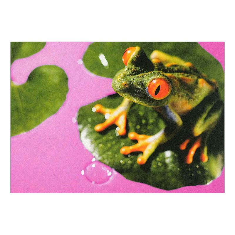 ���˥ޥ륷�꡼�� �ݥ��ȥ�����