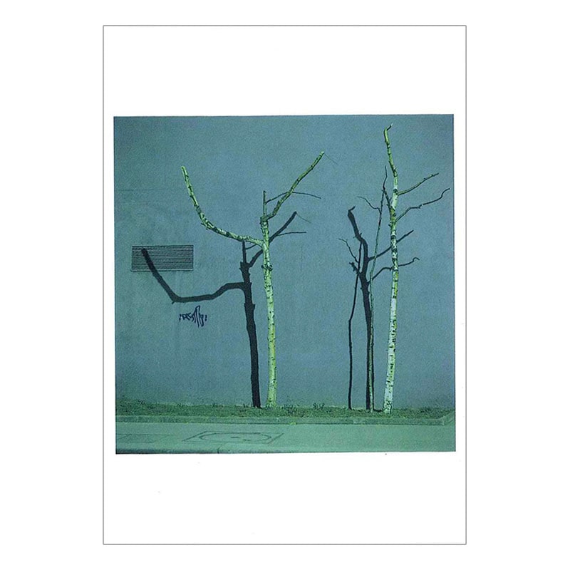 �٥�ʡ��롦�ǥ��� �ݥ��ȥ�����