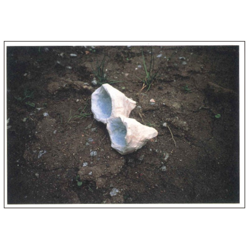 �������ɧ �ݥ��ȥ�����