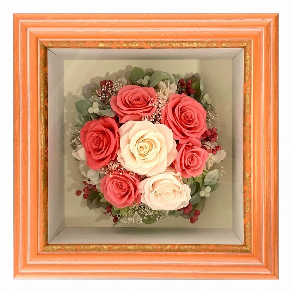 プリザーブドフラワー額装 オレンジ ピンク フラワー プリザーブドフラワー 額装 A P J オンラインショップ