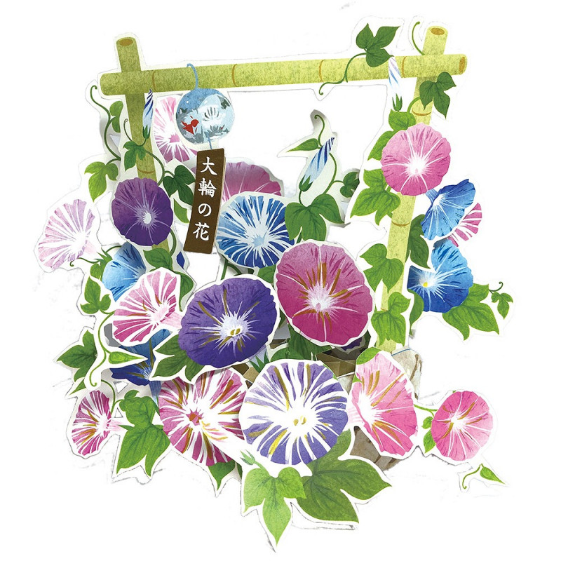 �ƥݥåץ��åץ�����/ī�������