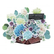 �ܥ��˥���ݥåץ��åץС����ǡ������� ���꡼��